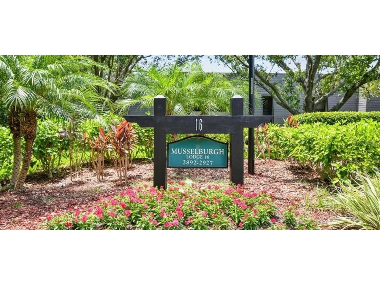 36750 Us Highway 19 N #16-105 Palm Harbor FL 34683 TB8514137 image1