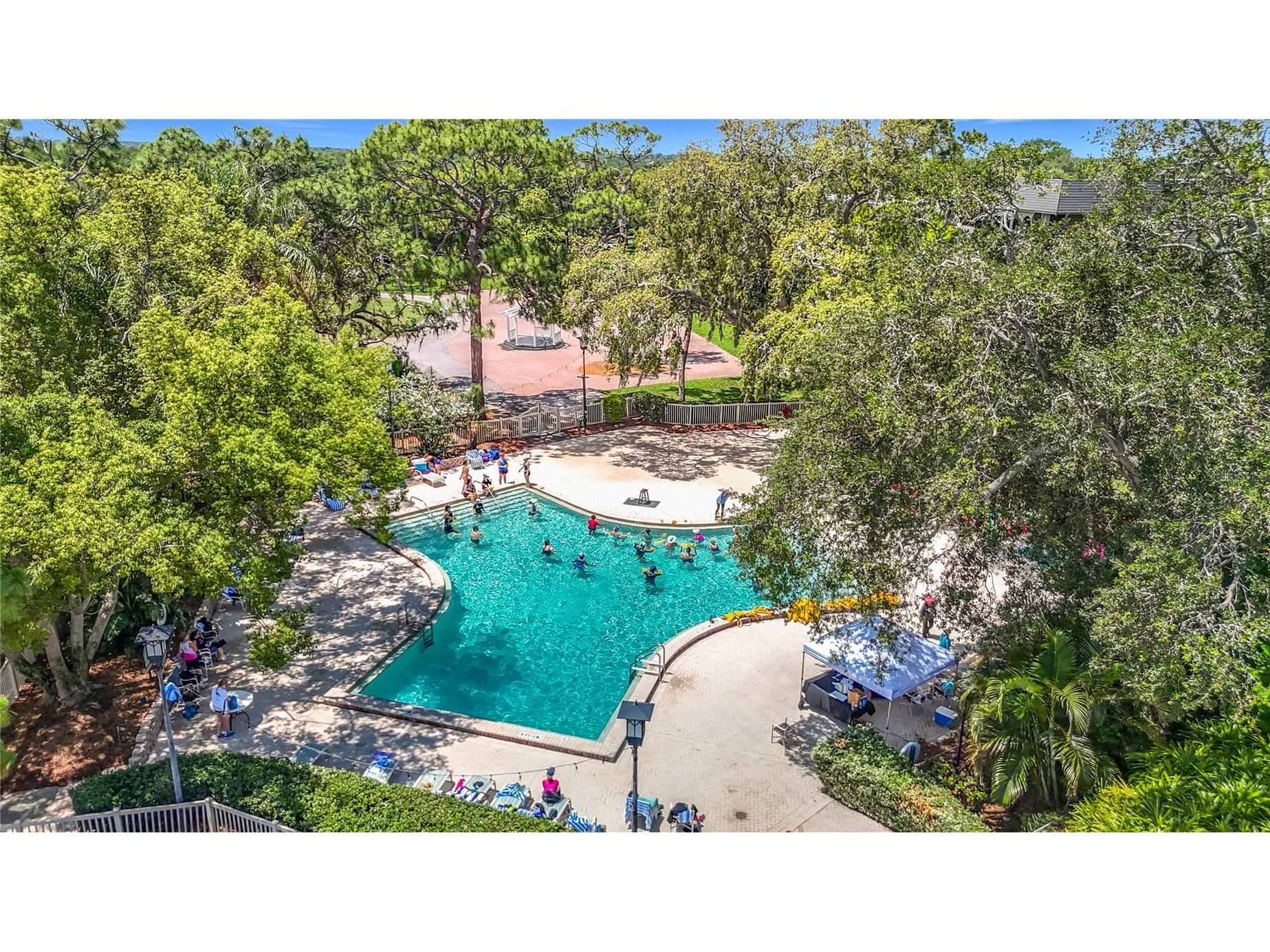 36750 Us Highway 19 N #16-108 Palm Harbor FL 34683 TB8507367 image34