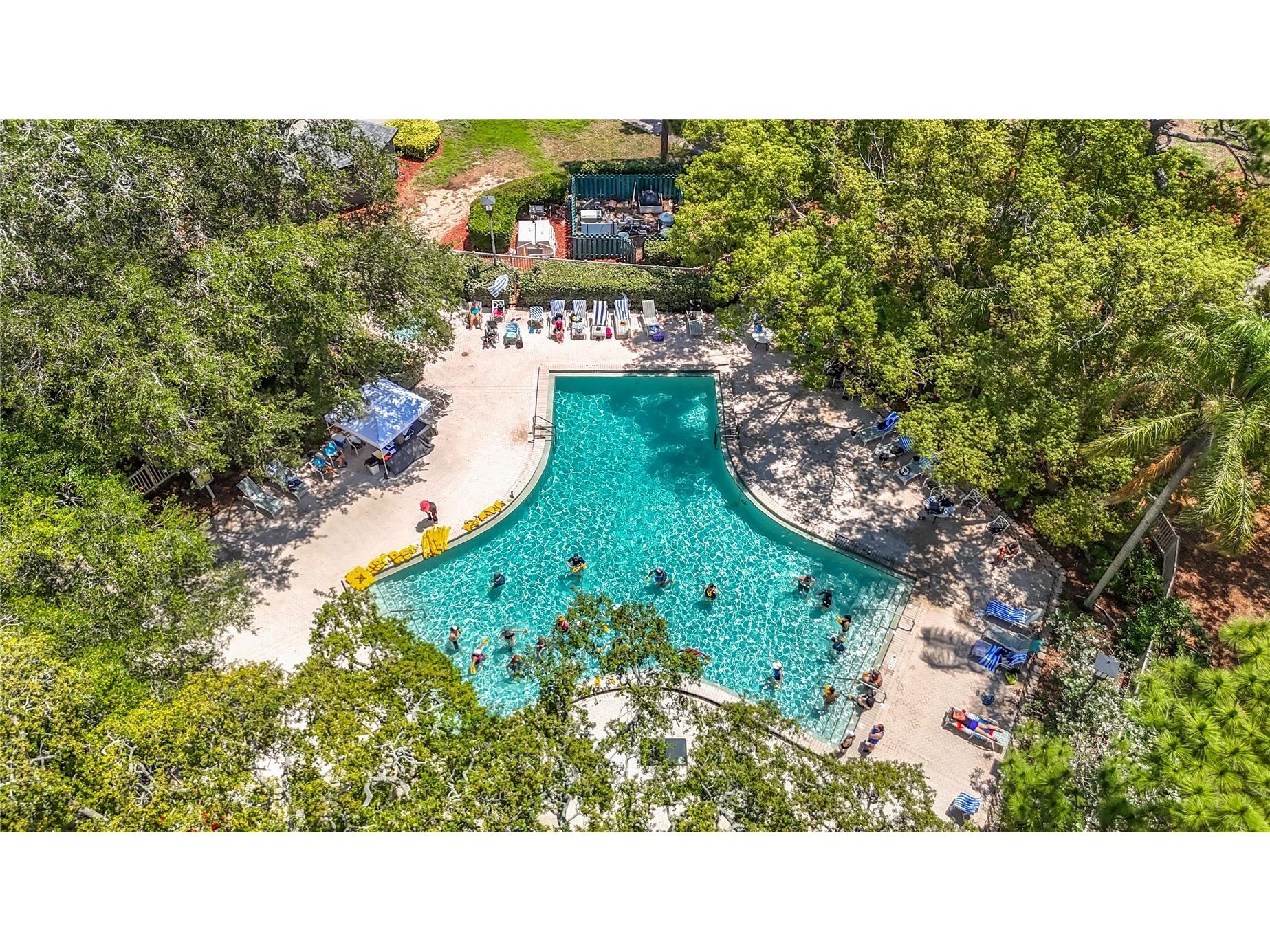 36750 Us Highway 19 N #16-108 Palm Harbor FL 34683 TB8507367 image5