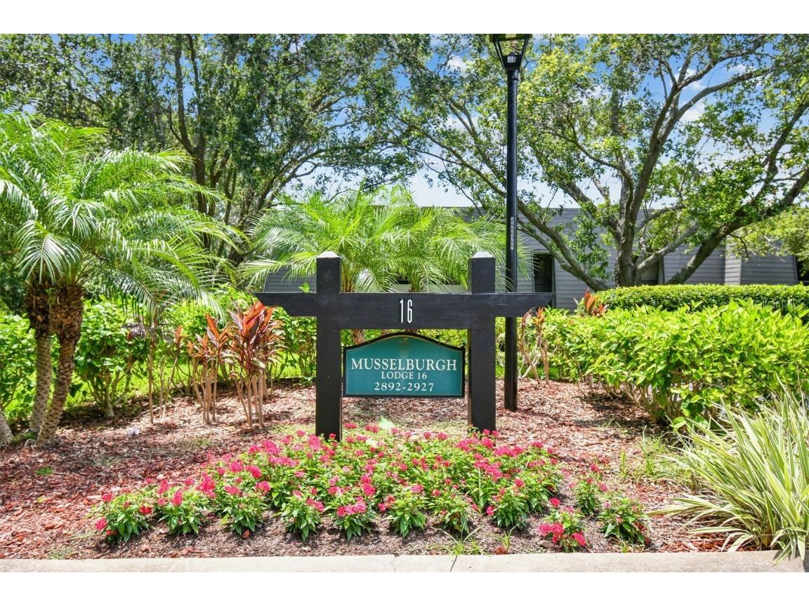 36750 Us Highway 19 N #16204 Palm Harbor FL 34684 U8211056 image1