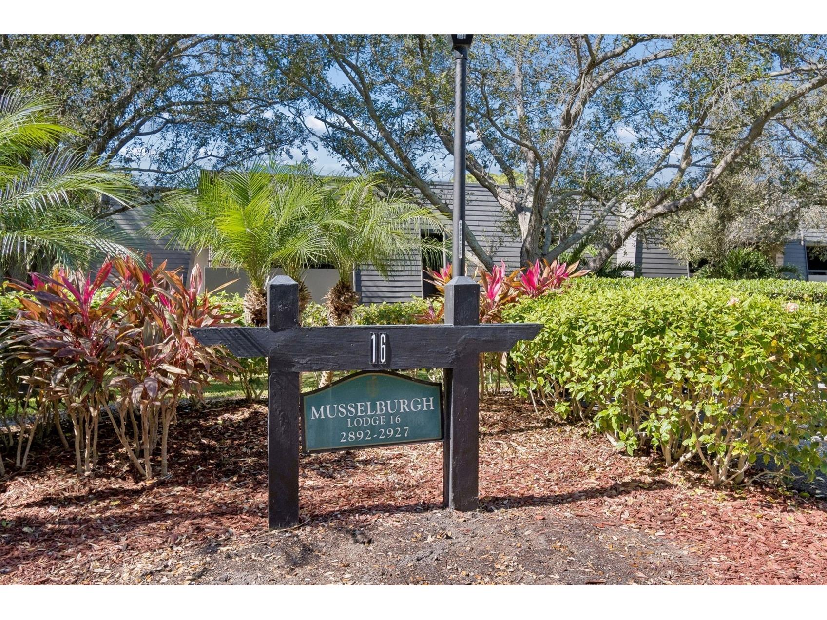 36750 Us Highway 19 N #16210 Palm Harbor FL 34684 TB8478399 image2
