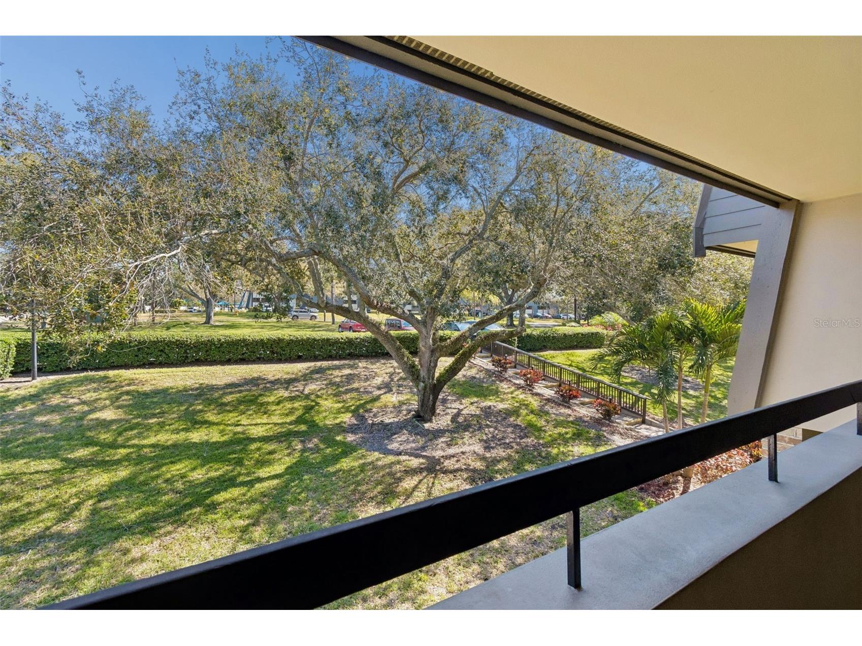 36750 Us Highway 19 N #16210 Palm Harbor FL 34684 TB8478399 image23