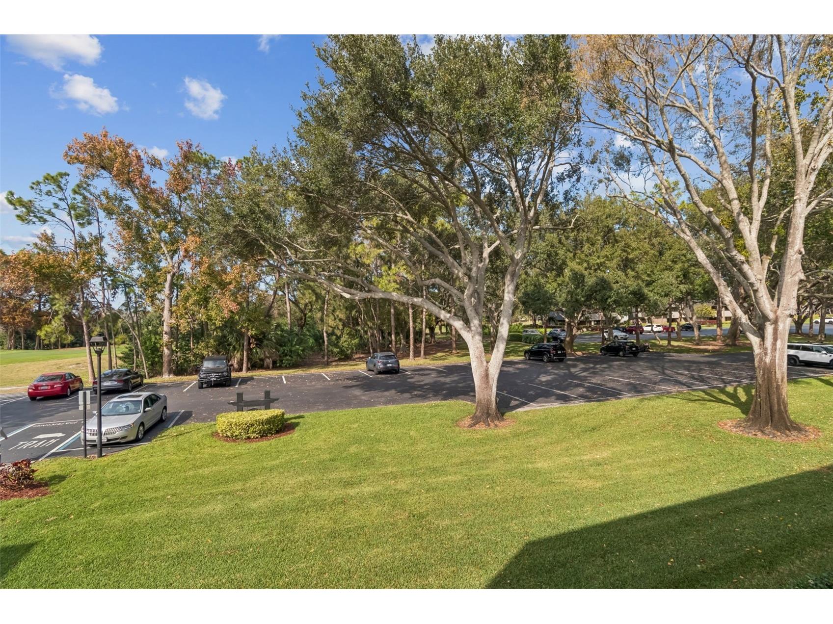 36750 Us Highway 19 N #17208 Palm Harbor FL 34684 TB8464731 image24