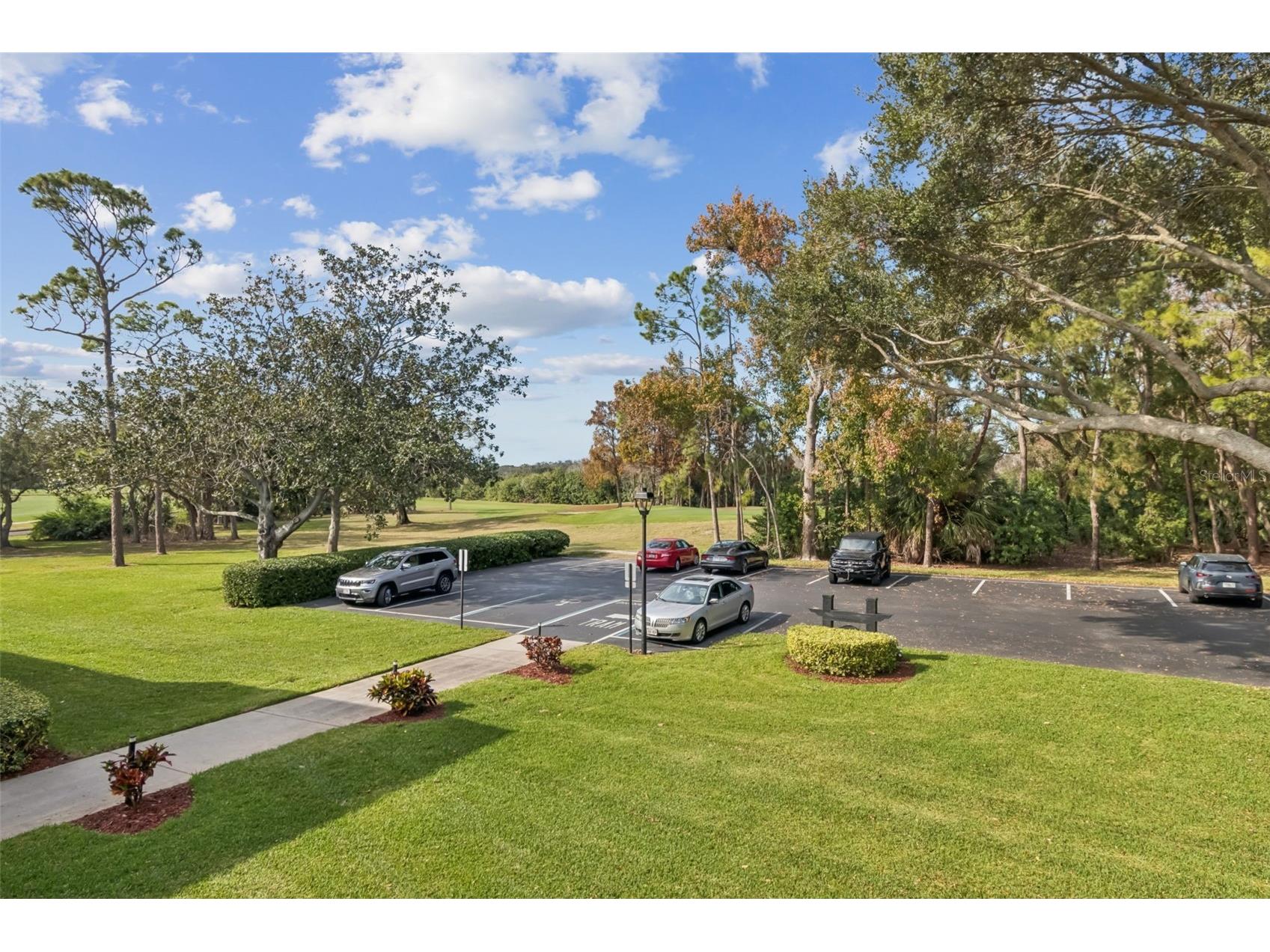 36750 Us Highway 19 N #17208 Palm Harbor FL 34684 TB8464731 image25