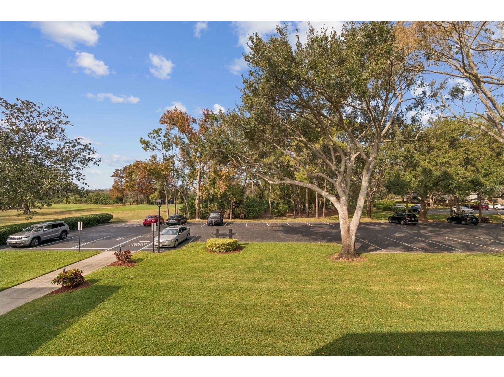 36750 Us Highway 19 N #17208 Palm Harbor FL 34684 TB8464731 image26