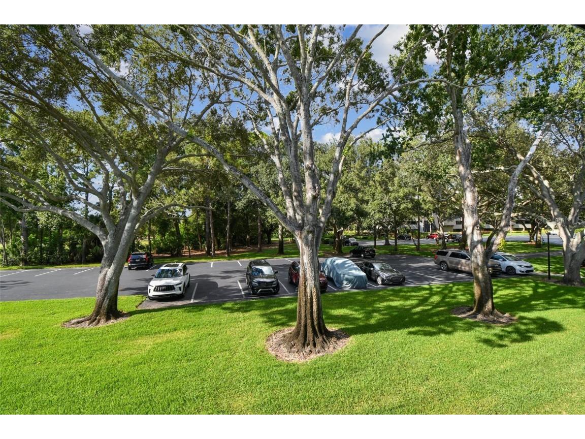 36750 Us Highway 19 N #17210 Palm Harbor FL 34684 TB8437201 image35