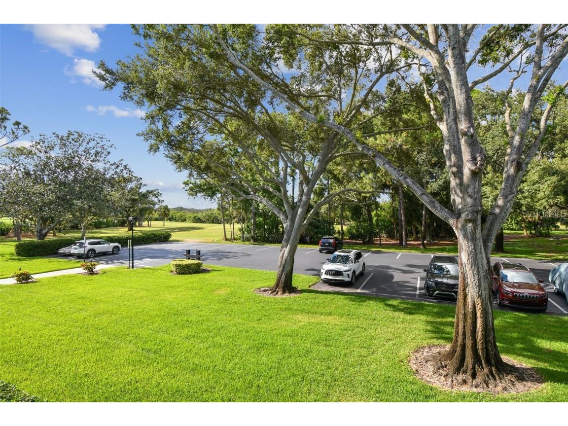 36750 Us Highway 19 N #17210 Palm Harbor FL 34684 TB8437201 image37