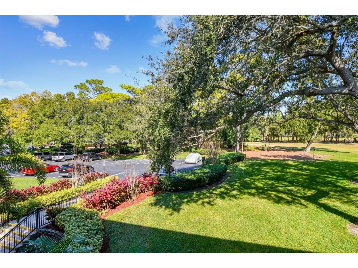 36750 Us Highway 19 N #18208 Palm Harbor FL 34684 TB8448192 image40