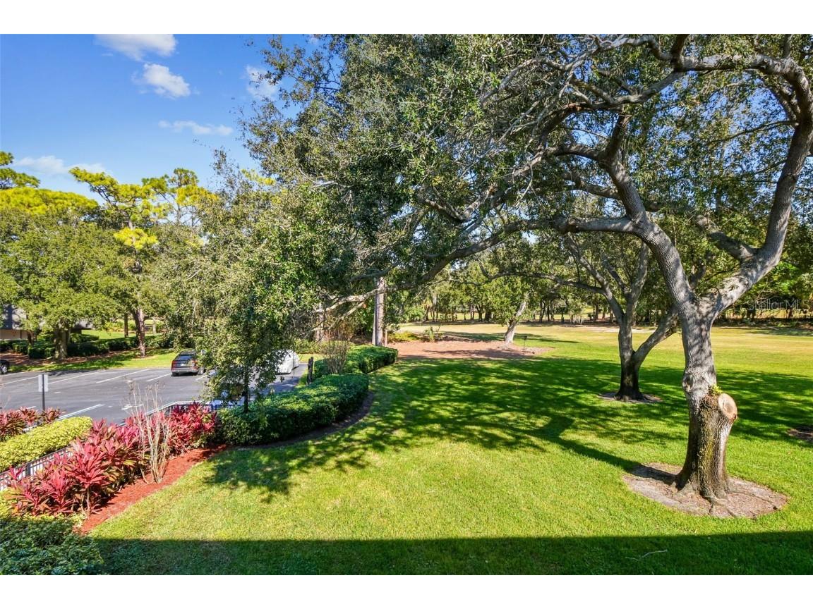 36750 Us Highway 19 N #18208 Palm Harbor FL 34684 TB8448192 image41