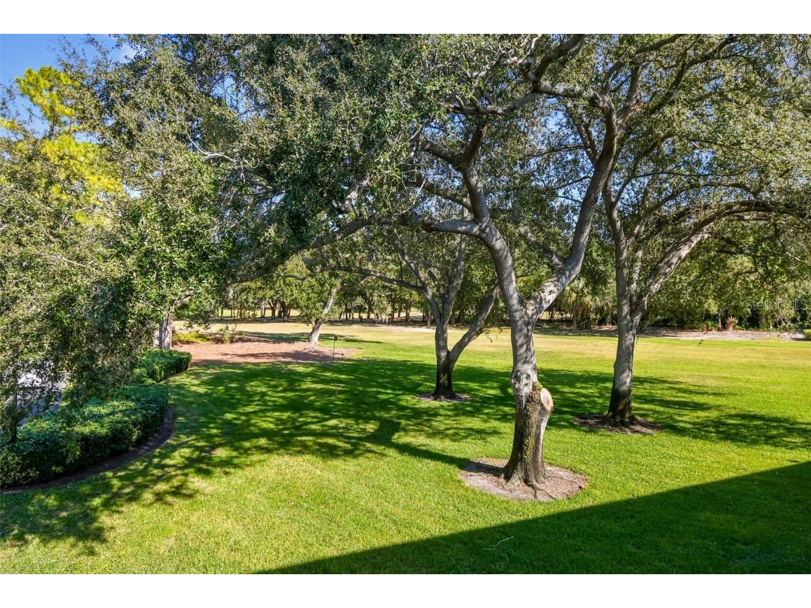 36750 Us Highway 19 N #18208 Palm Harbor FL 34684 TB8448192 image42
