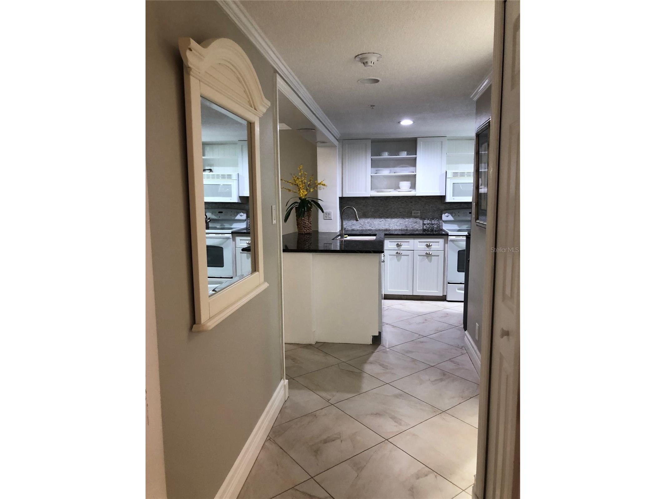 36750 Us Highway 19 N #19-115 Palm Harbor FL 34683 TB8514554 image12