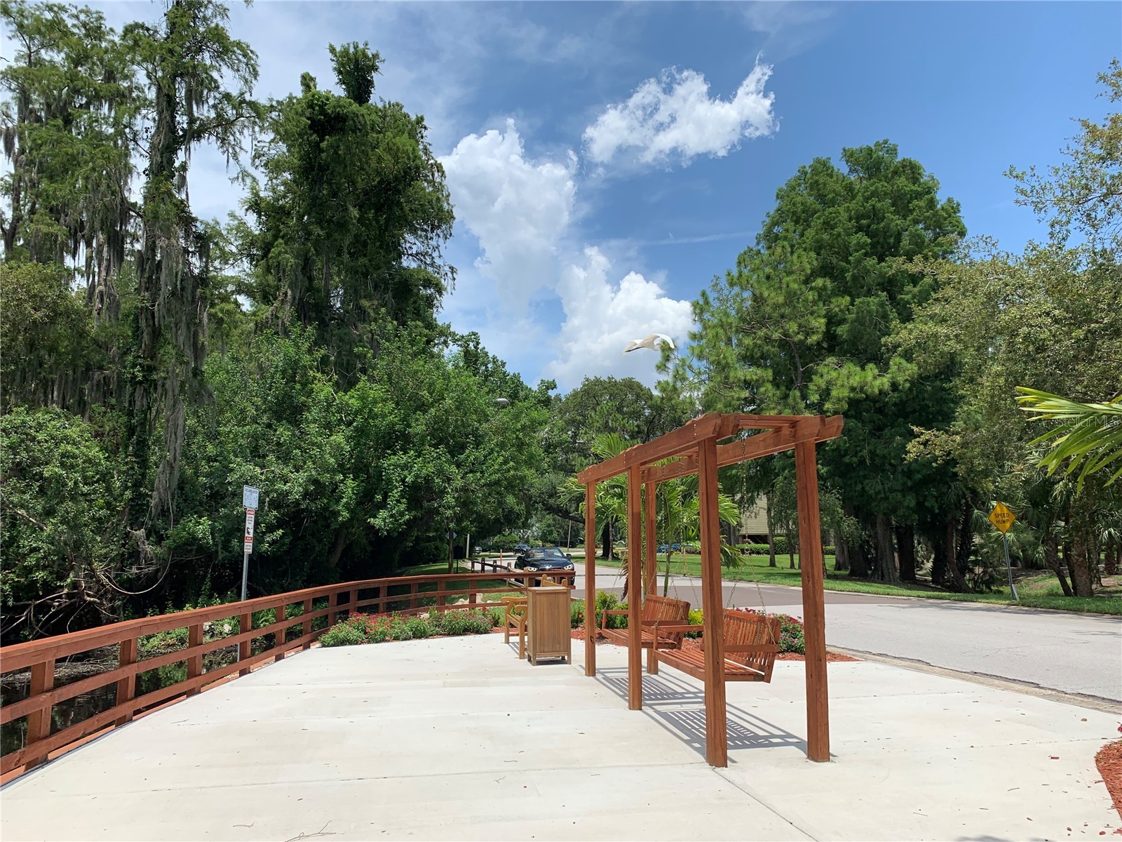 36750 Us Highway 19 N #19-115 Palm Harbor FL 34683 TB8514554 image20