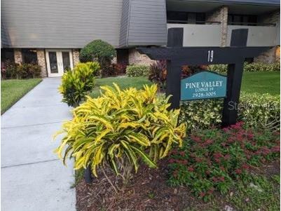 36750 Us Highway 19 N #19-115 Palm Harbor FL 34684 TB8496612 image1