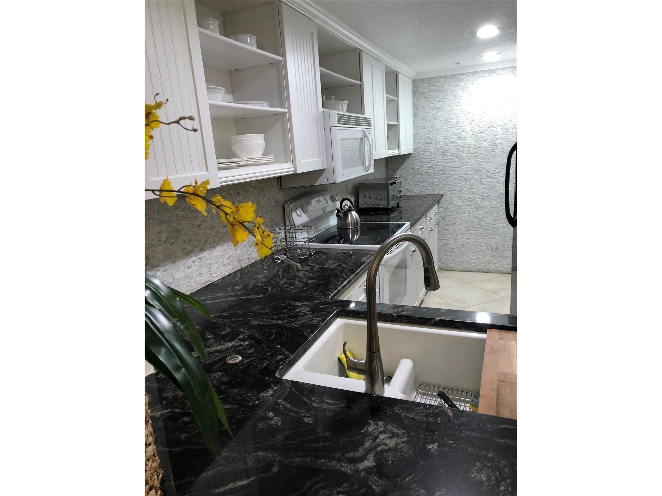36750 Us Highway 19 N #19-115 Palm Harbor FL 34684 TB8496612 image17