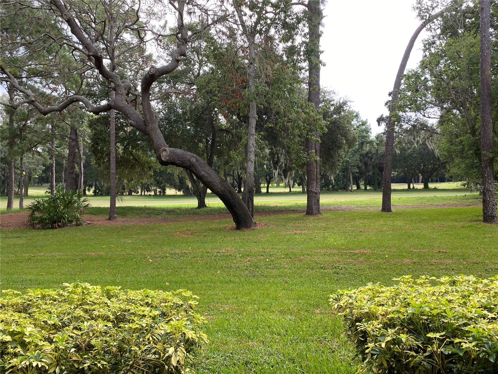 36750 Us Highway 19 N #19-115 Palm Harbor FL 34684 TB8496612 image3