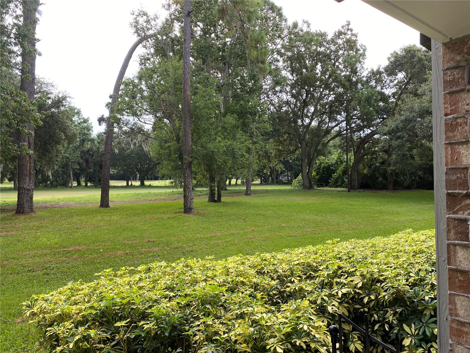 36750 Us Highway 19 N #19-115 Palm Harbor FL 34684 TB8496612 image4