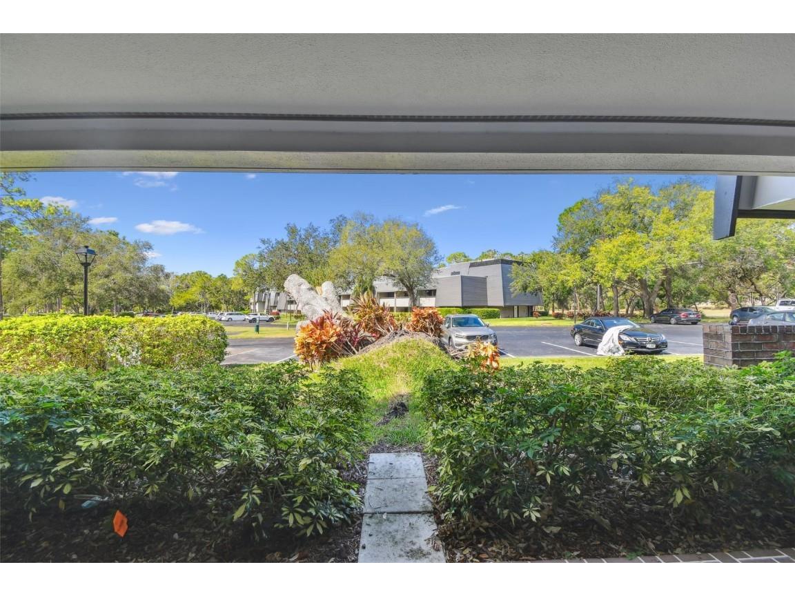 36750 Us Highway 19 N #19106 Palm Harbor FL 34684 TB8312447 image19