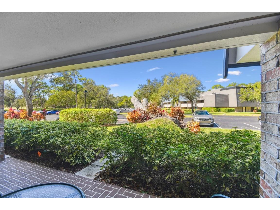 36750 Us Highway 19 N #19106 Palm Harbor FL 34684 TB8312447 image20