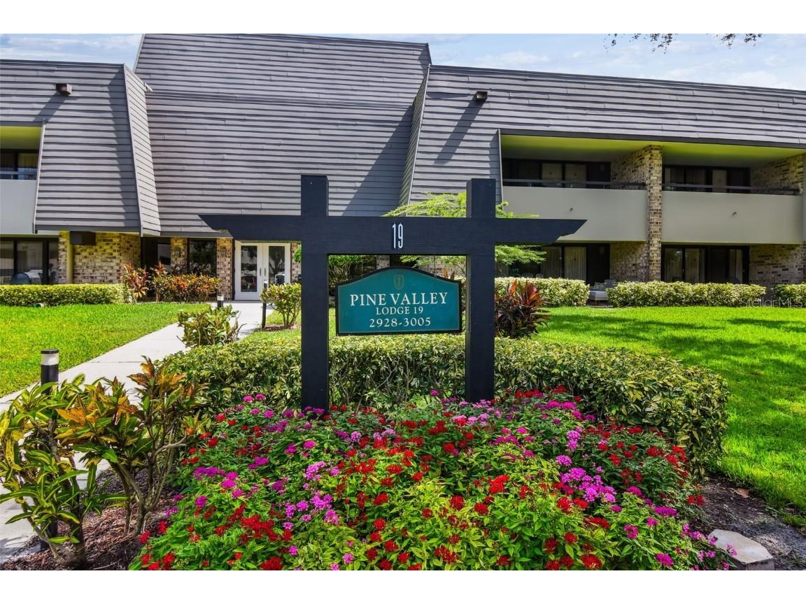 36750 Us Highway 19 N #19213 Palm Harbor FL 34684 TB8434250 image1