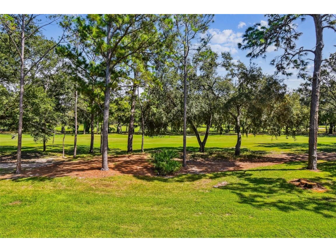 36750 Us Highway 19 N #19213 Palm Harbor FL 34684 TB8434250 image2