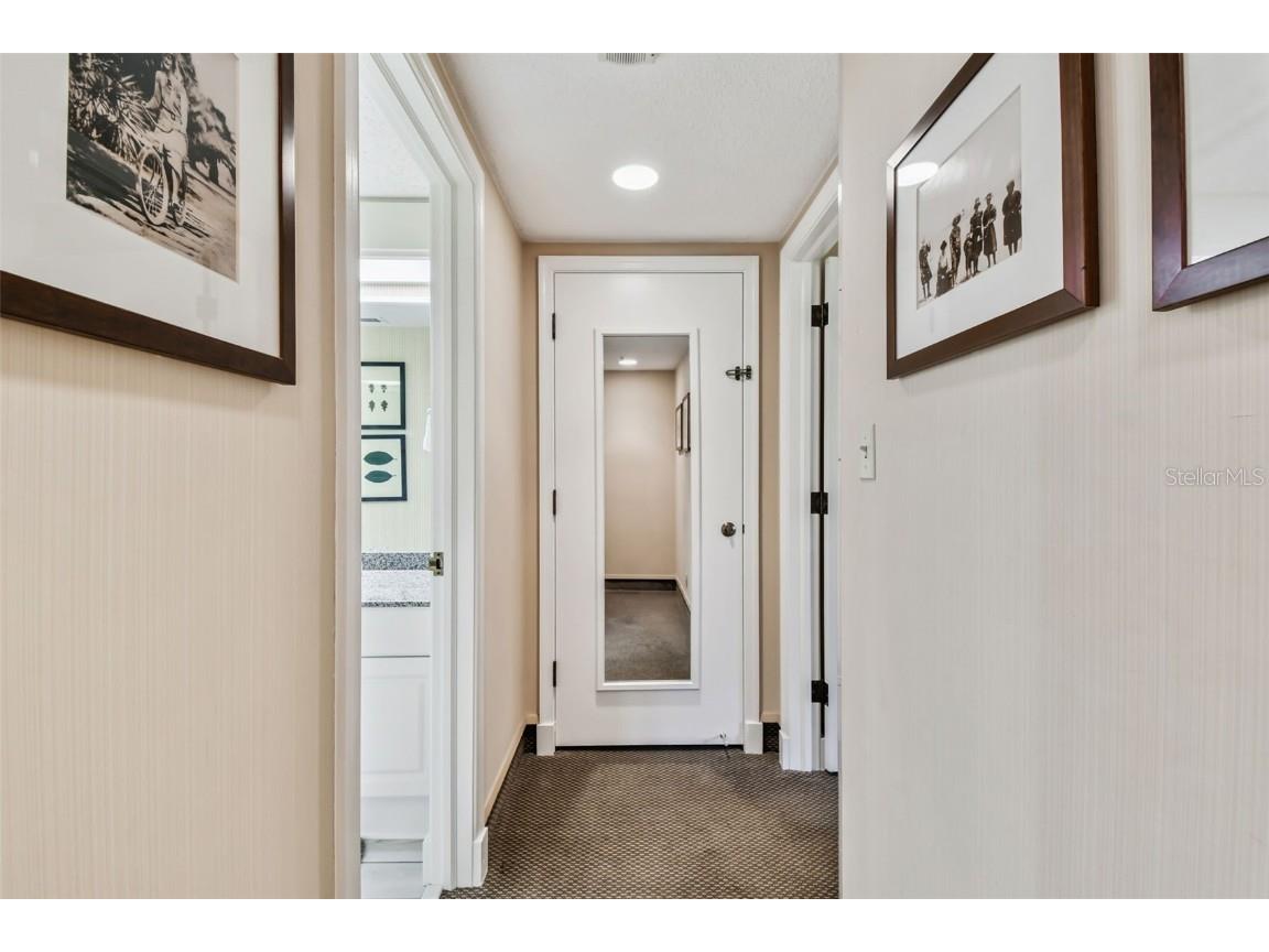 36750 Us Highway 19 N #19213 Palm Harbor FL 34684 TB8434250 image20