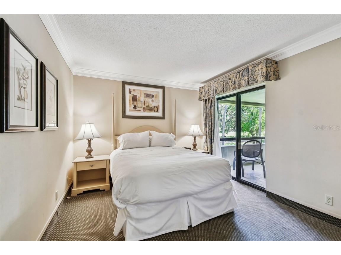 36750 Us Highway 19 N #19213 Palm Harbor FL 34684 TB8434250 image21