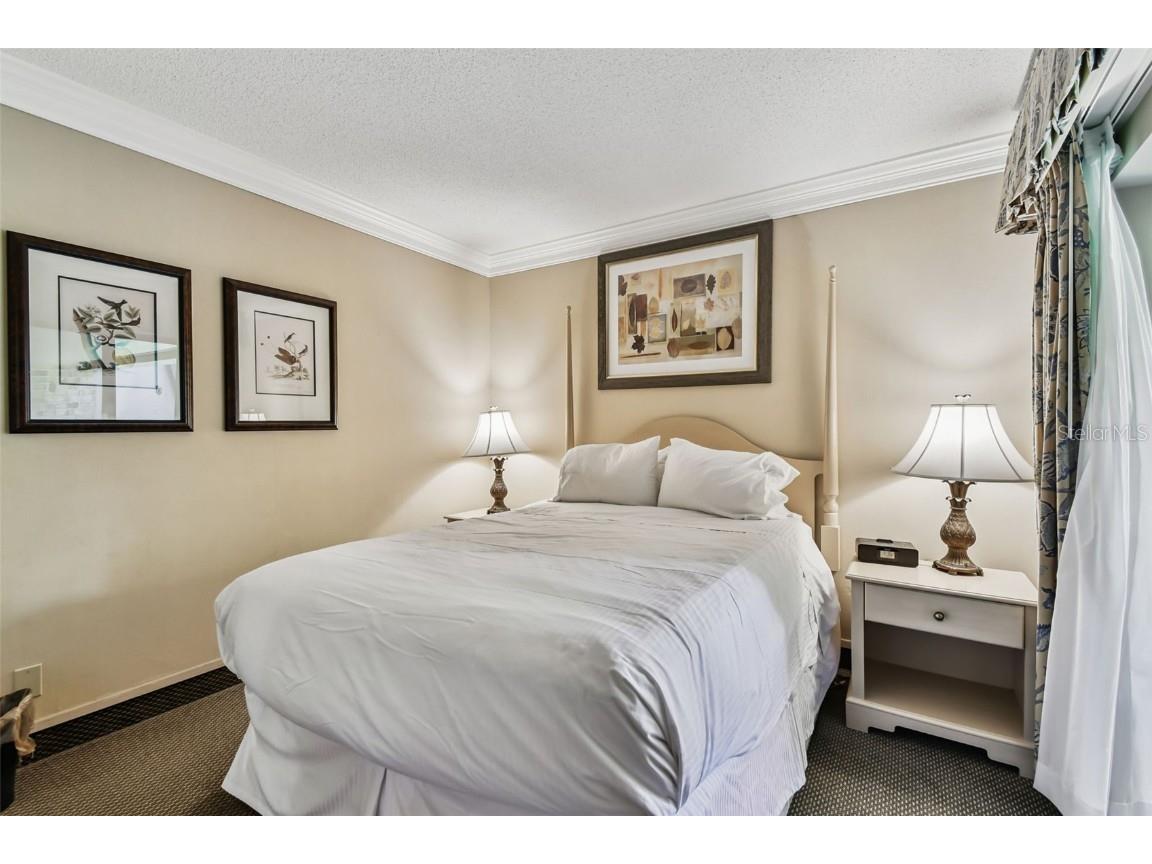 36750 Us Highway 19 N #19213 Palm Harbor FL 34684 TB8434250 image22