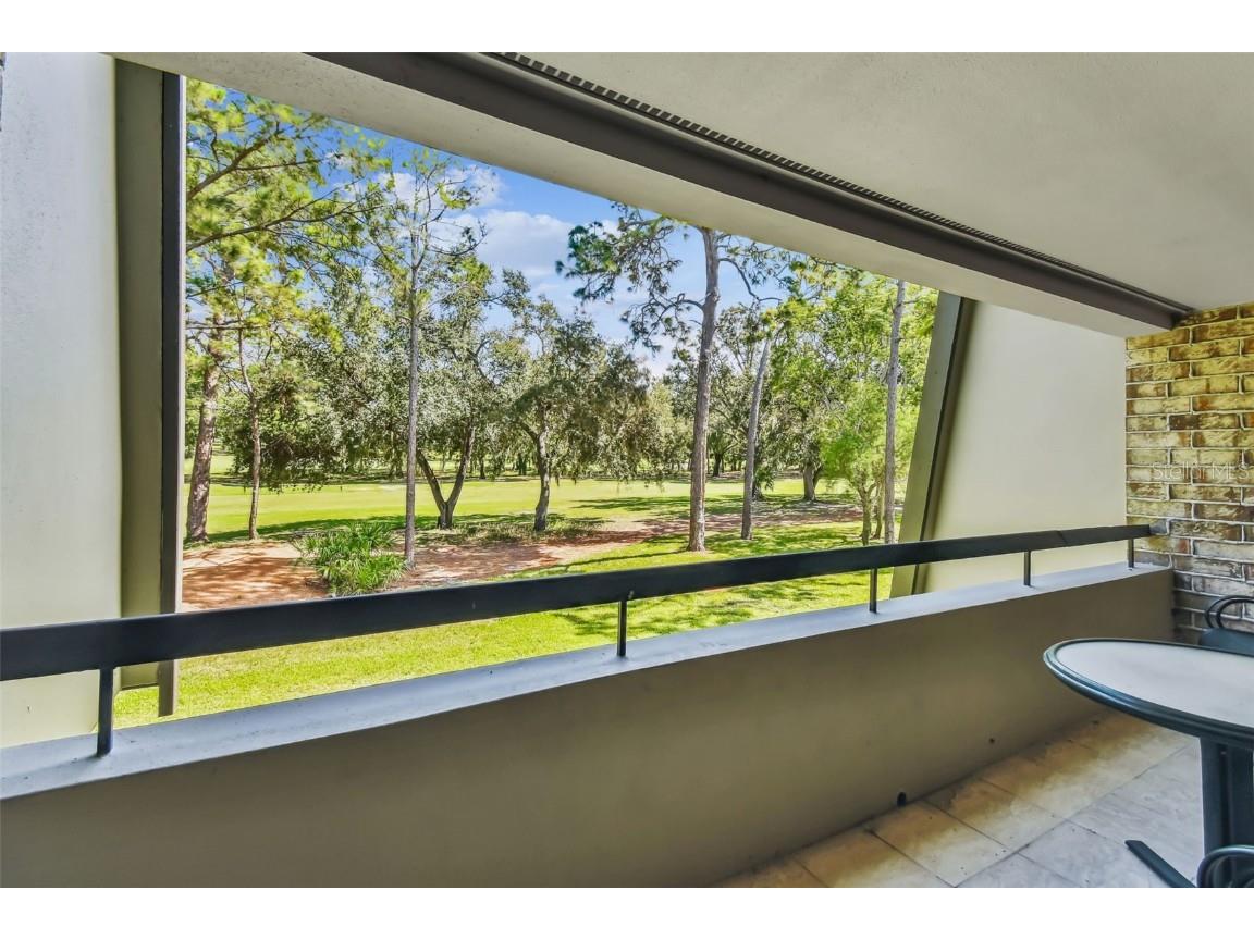 36750 Us Highway 19 N #19213 Palm Harbor FL 34684 TB8434250 image5