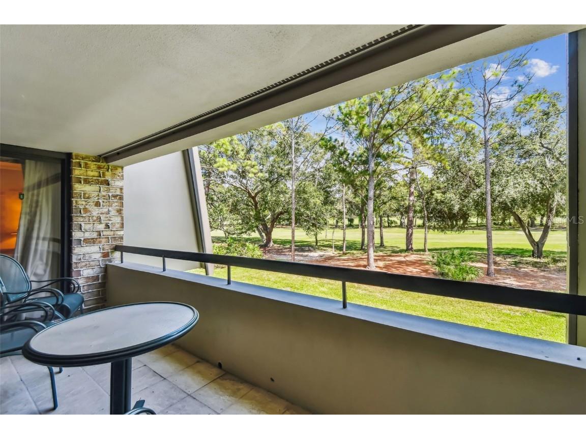 36750 Us Highway 19 N #19213 Palm Harbor FL 34684 TB8434250 image6