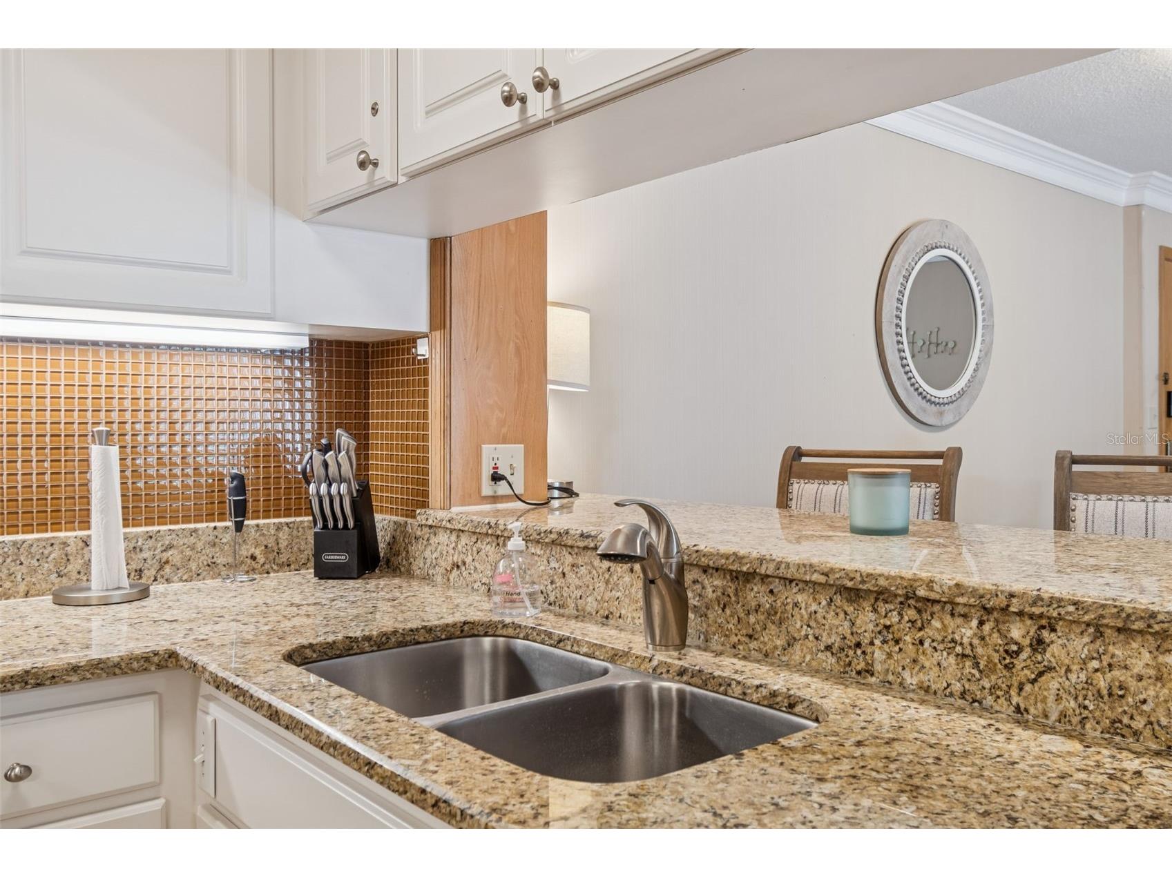 36750 Us Highway 19 N #19219 Palm Harbor FL 34684 TB8469363 image16