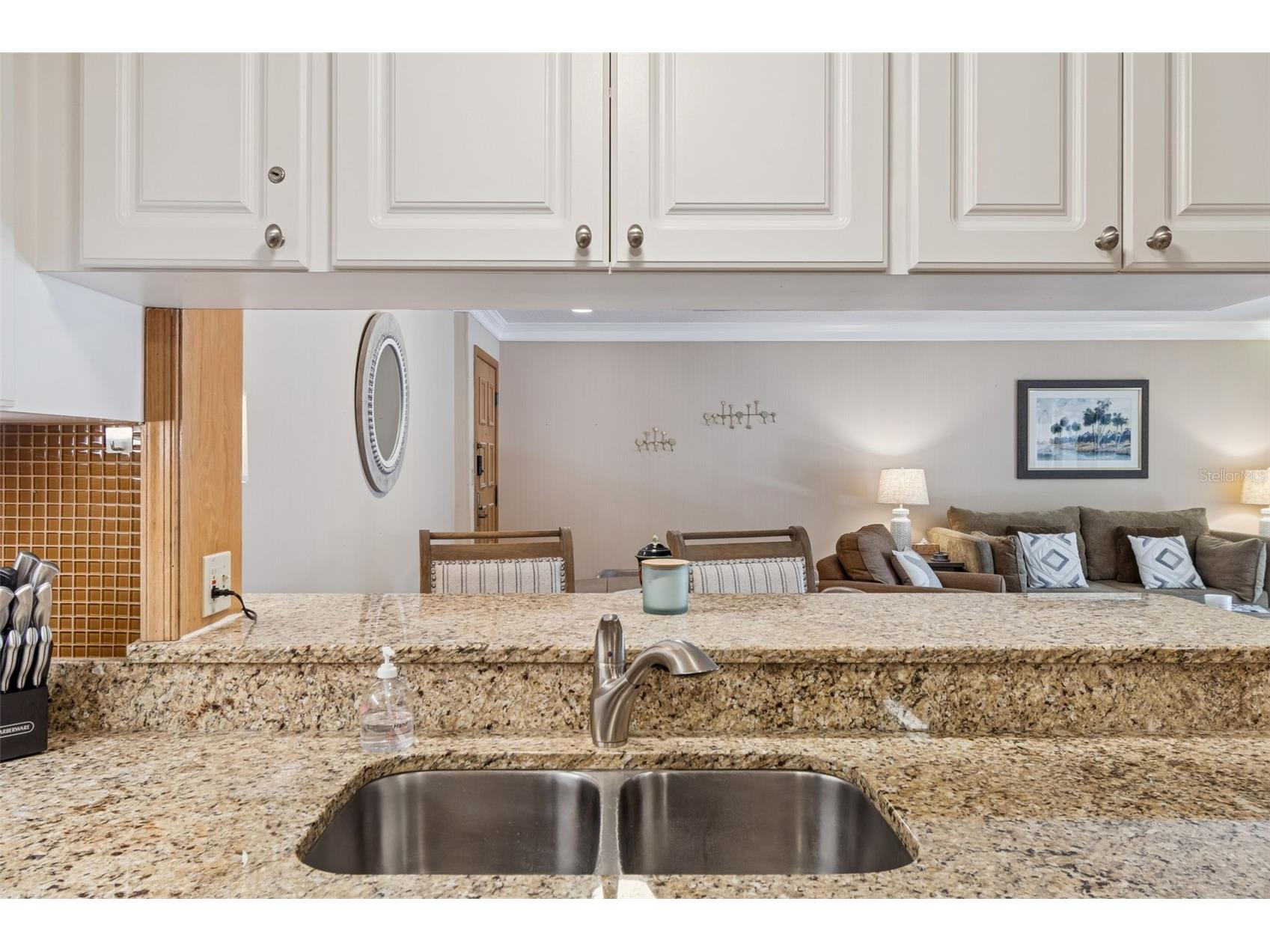 36750 Us Highway 19 N #19219 Palm Harbor FL 34684 TB8469363 image17