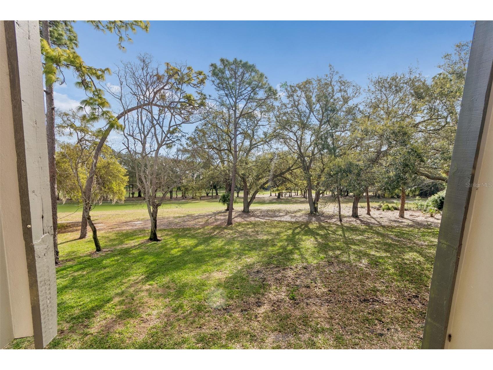 36750 Us Highway 19 N #19219 Palm Harbor FL 34684 TB8469363 image34