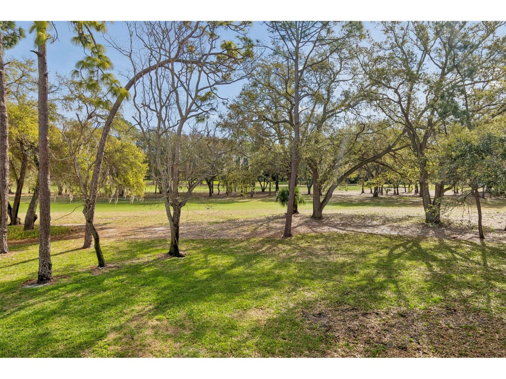 36750 Us Highway 19 N #19219 Palm Harbor FL 34684 TB8469363 image35