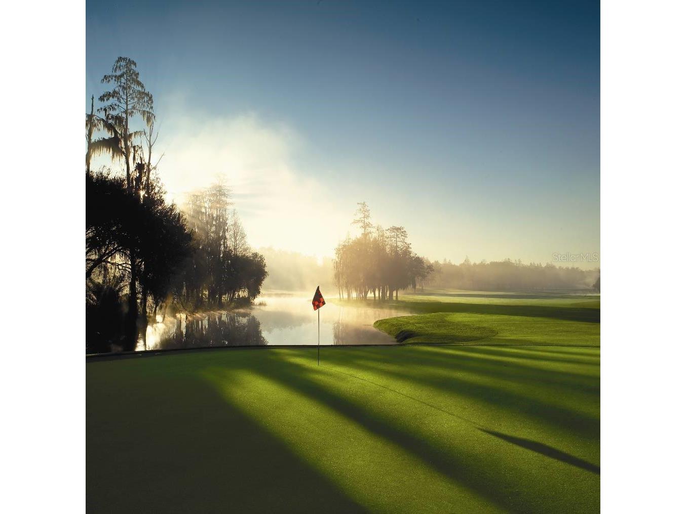 36750 Us Highway 19 N #19219 Palm Harbor FL 34684 TB8469363 image64