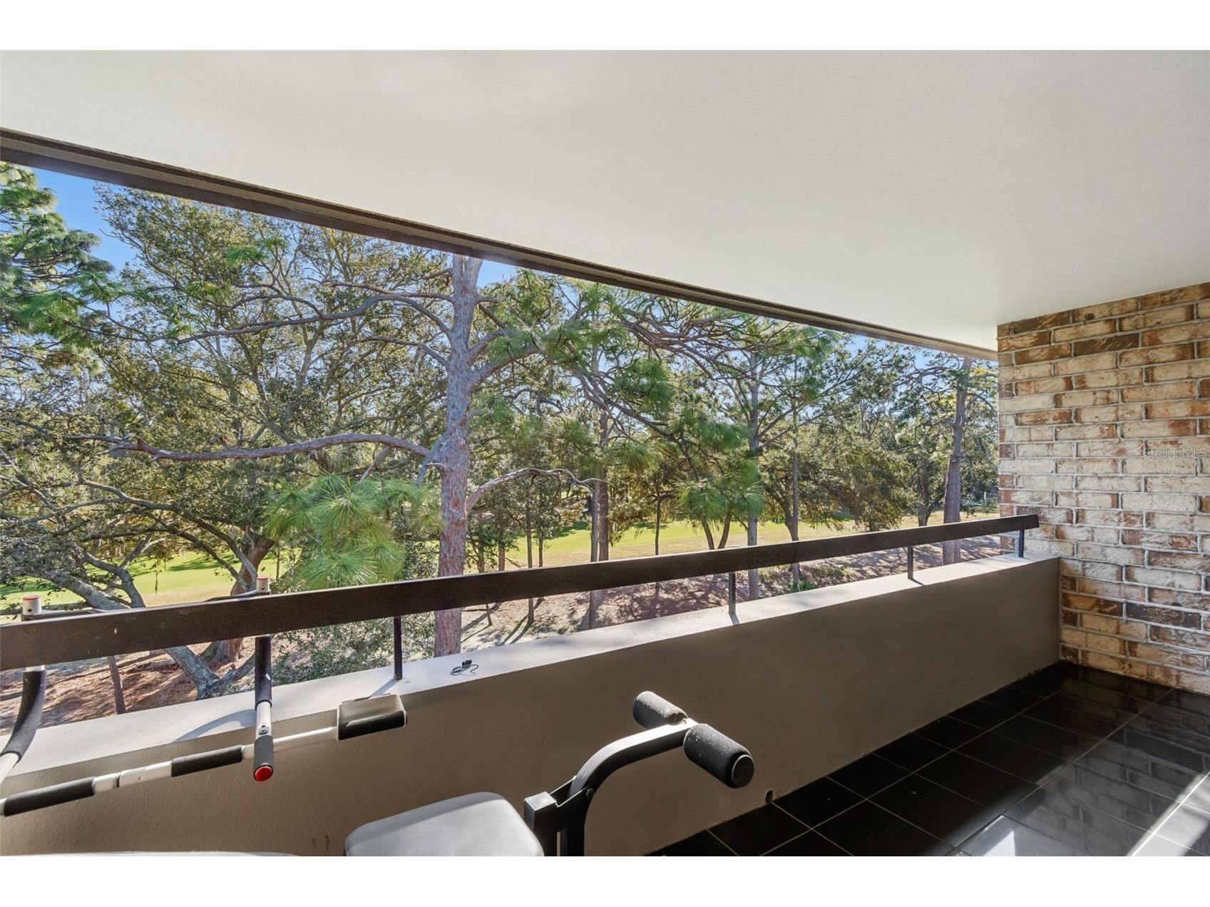 36750 Us Highway 19 N #19306 Palm Harbor FL 34684 TB8469383 image27