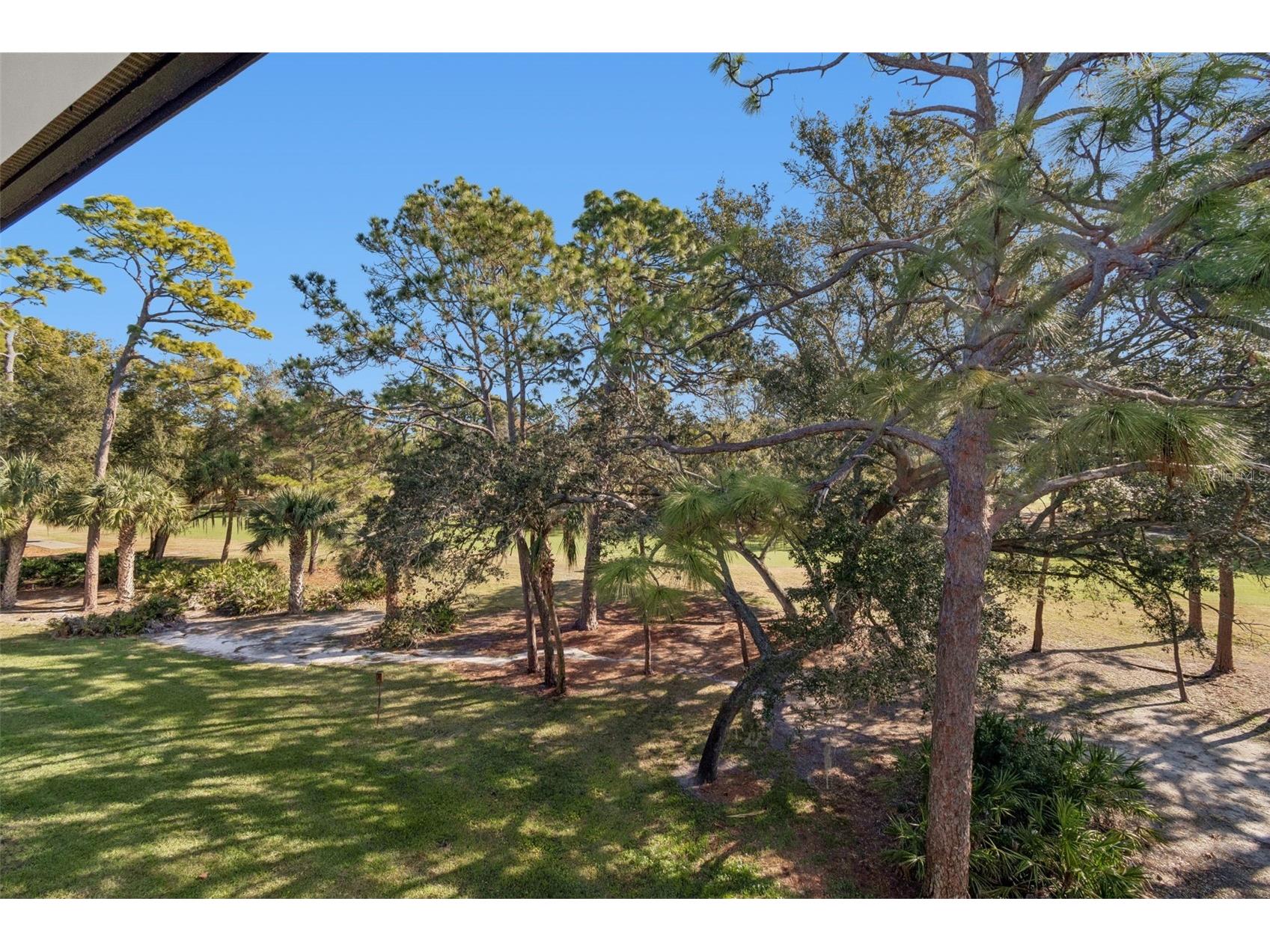 36750 Us Highway 19 N #19306 Palm Harbor FL 34684 TB8469383 image29