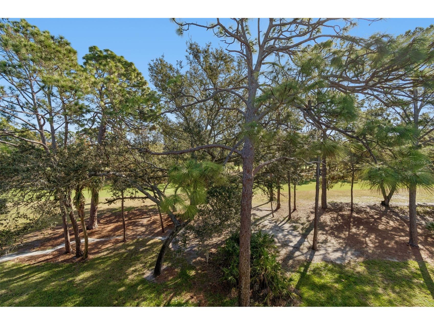 36750 Us Highway 19 N #19306 Palm Harbor FL 34684 TB8469383 image30