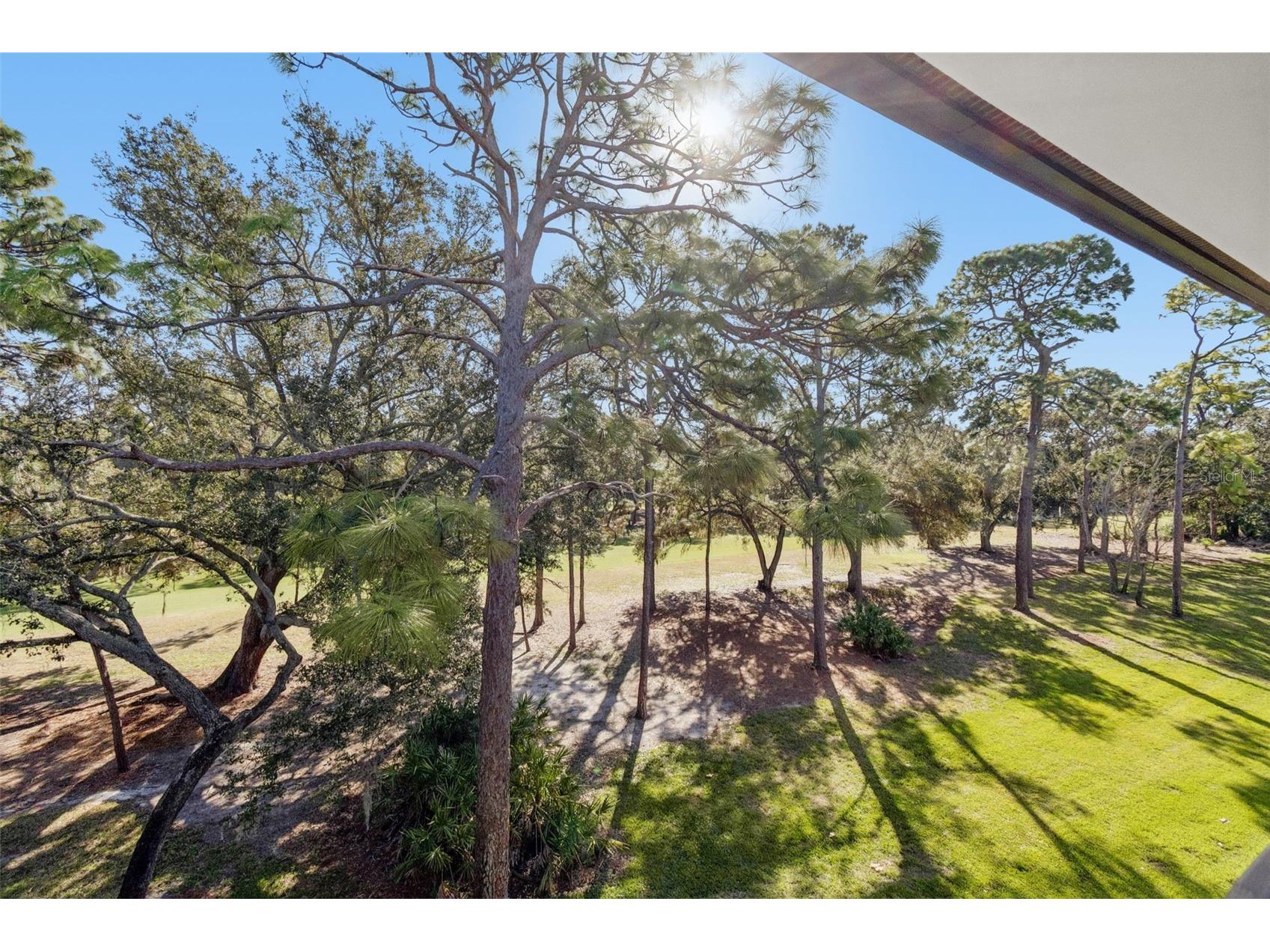 36750 Us Highway 19 N #19306 Palm Harbor FL 34684 TB8469383 image31