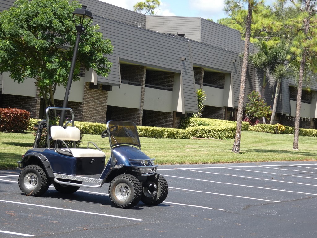 36750 Us Highway 19 N #20-305 Palm Harbor FL 34684 W7878350 image12