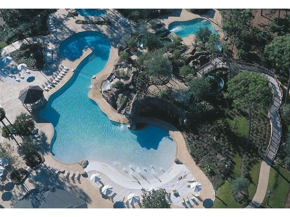 36750 Us Highway 19 N #20-305 Palm Harbor FL 34684 W7878350 image13