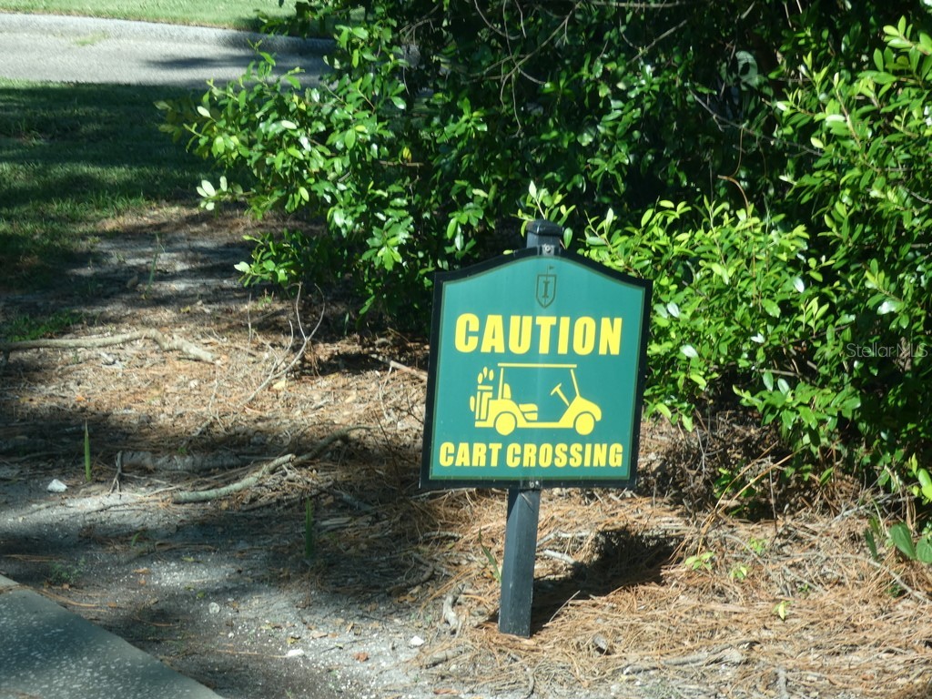 36750 Us Highway 19 N #20-305 Palm Harbor FL 34684 W7878350 image15