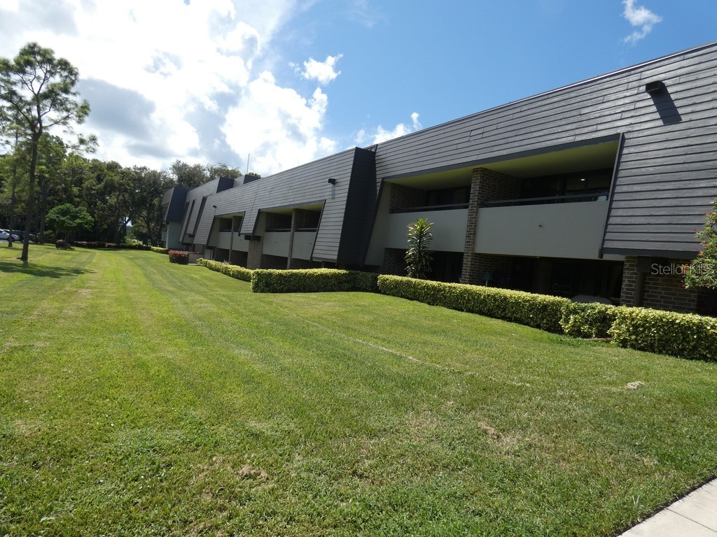 36750 Us Highway 19 N #20-305 Palm Harbor FL 34684 W7878350 image17