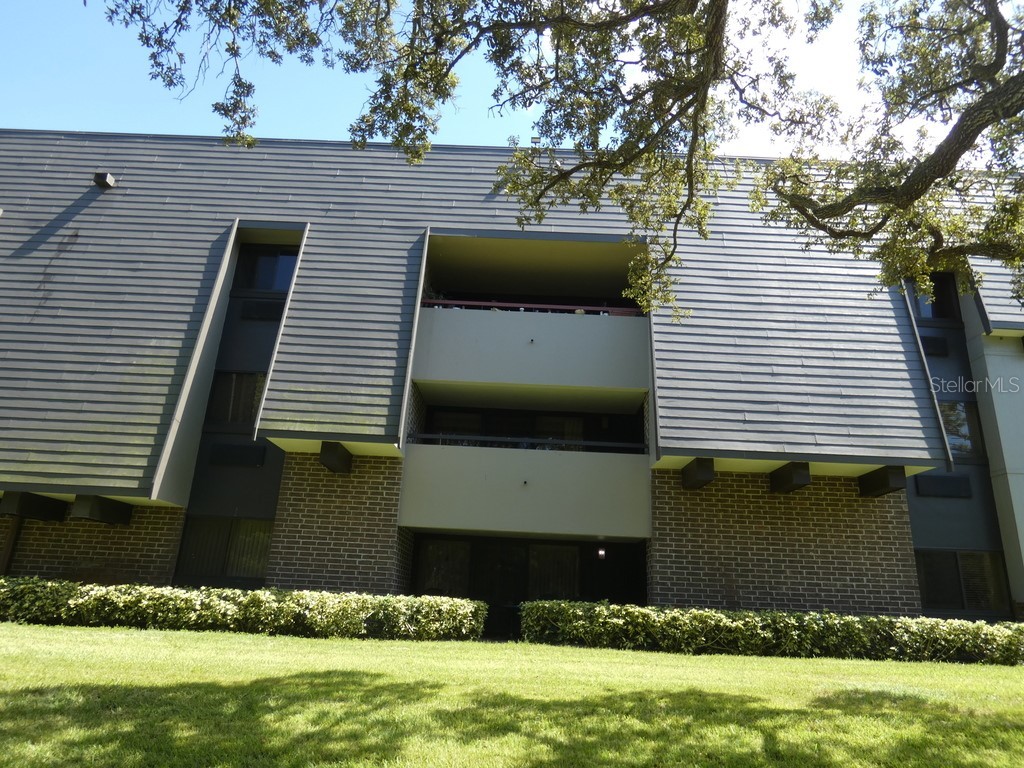 36750 Us Highway 19 N #20-305 Palm Harbor FL 34684 W7878350 image18