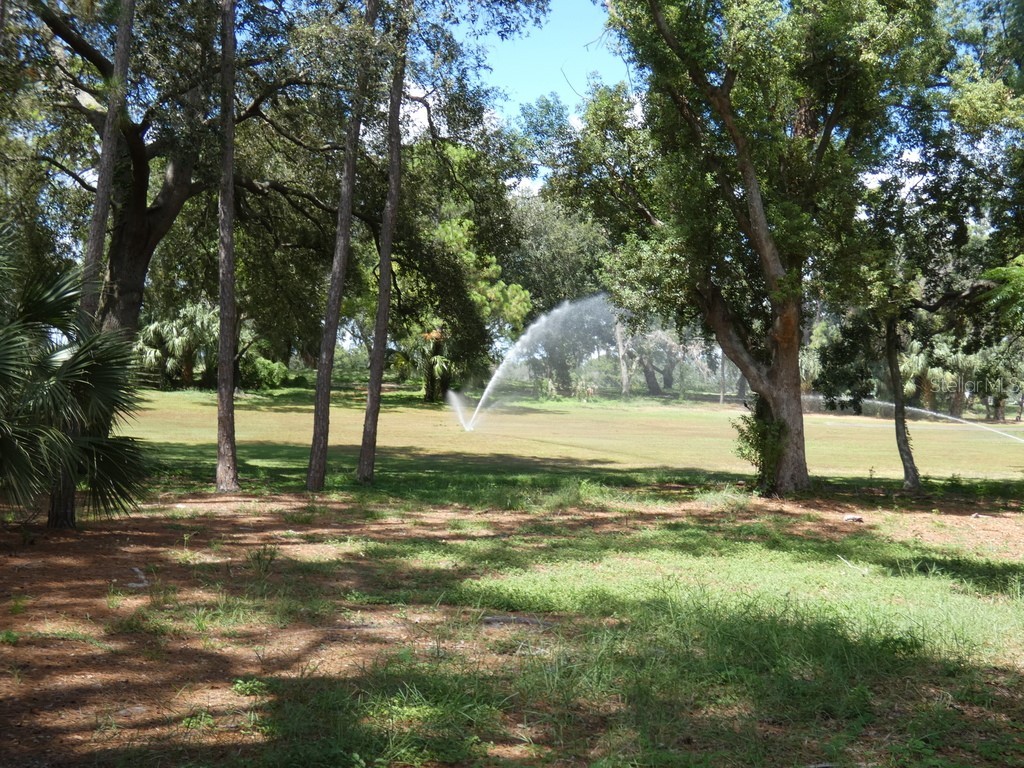 36750 Us Highway 19 N #20-305 Palm Harbor FL 34684 W7878350 image19