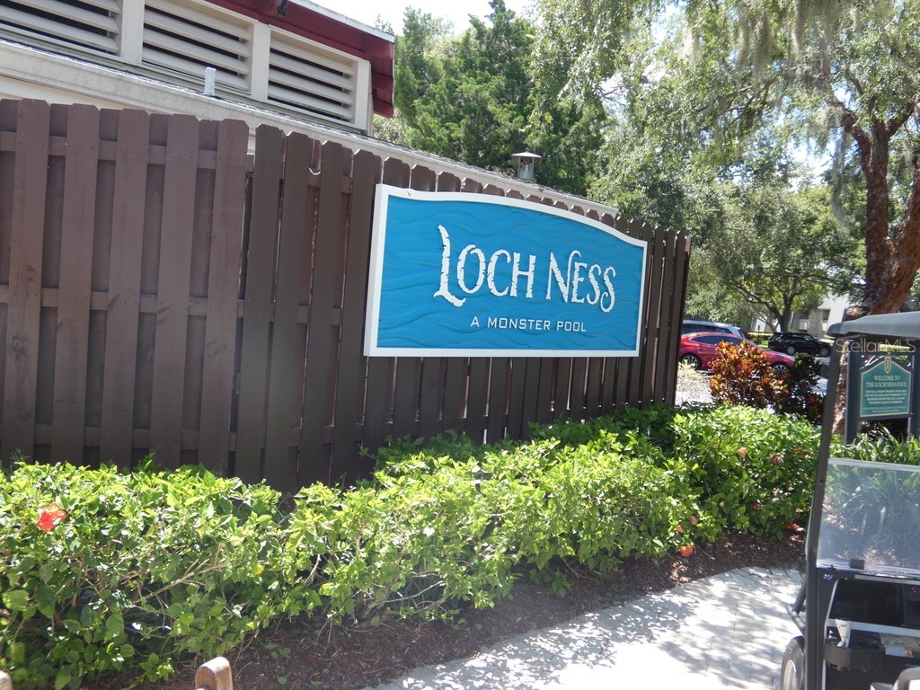 36750 Us Highway 19 N #20-305 Palm Harbor FL 34684 W7878350 image27