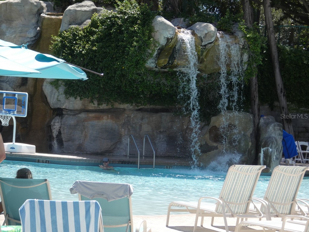 36750 Us Highway 19 N #20-305 Palm Harbor FL 34684 W7878350 image28