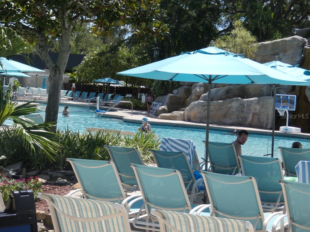 36750 Us Highway 19 N #20-305 Palm Harbor FL 34684 W7878350 image29