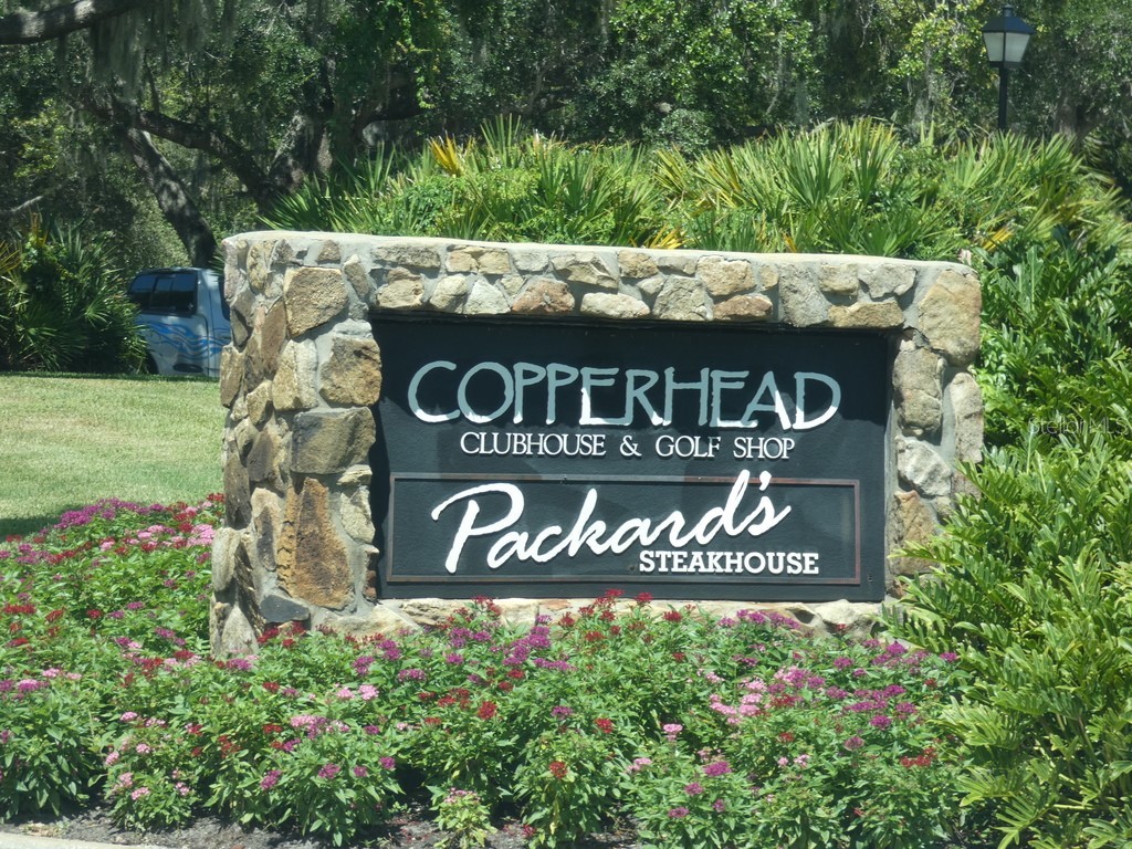 36750 Us Highway 19 N #20-305 Palm Harbor FL 34684 W7878350 image30