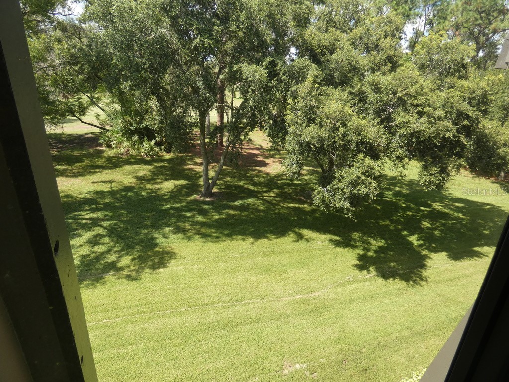 36750 Us Highway 19 N #20-305 Palm Harbor FL 34684 W7878350 image50