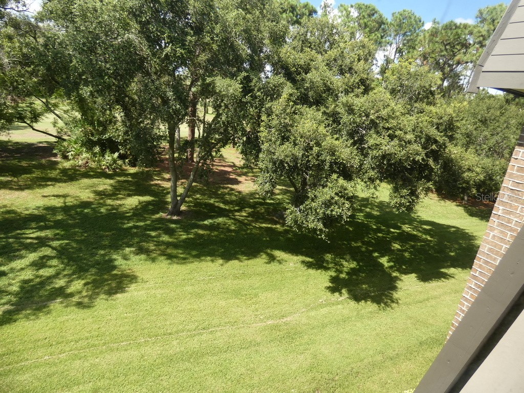 36750 Us Highway 19 N #20-305 Palm Harbor FL 34684 W7878350 image51